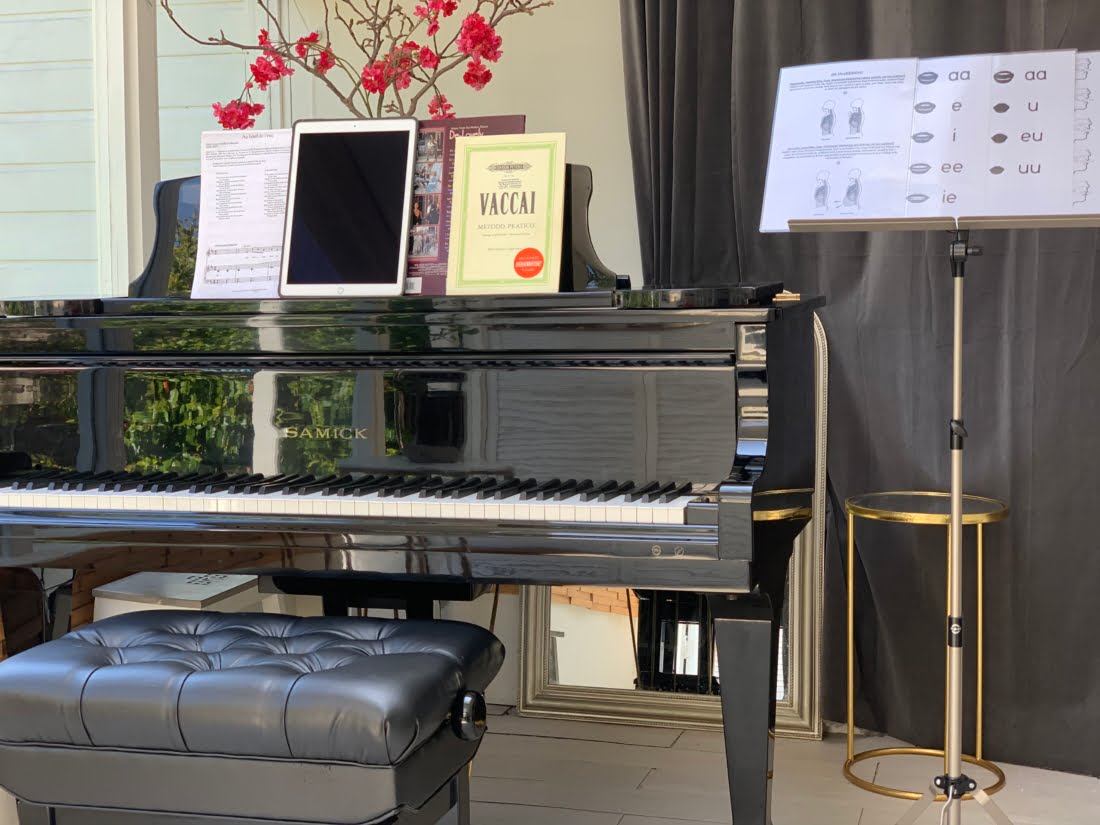 Corona-virus: online zangles & pianoles met Skype en Zoom