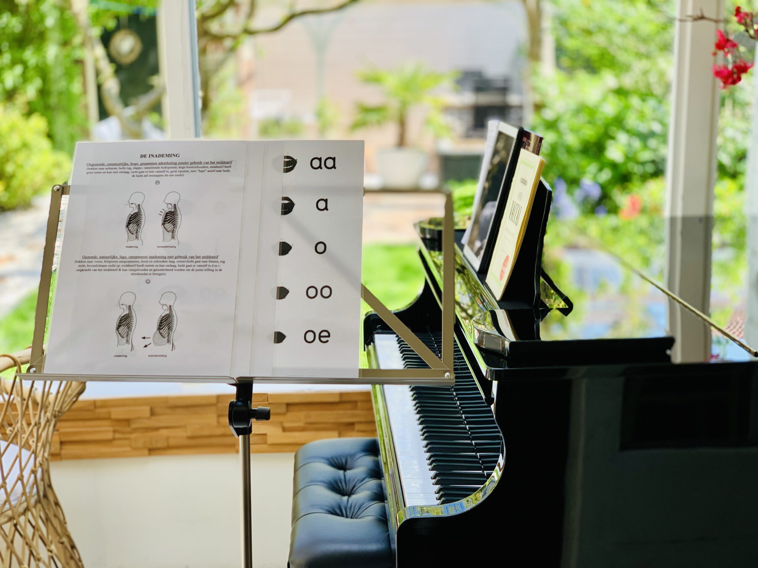 Singing as social and medical prescription for Covid-patients