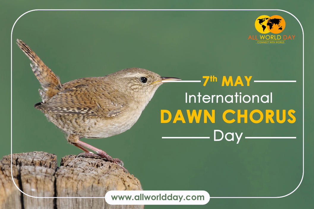 Dawn Chorus Day the Annual Bird Choir Singing for Early Birds!